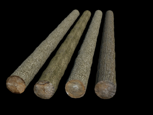 logs 3D Model