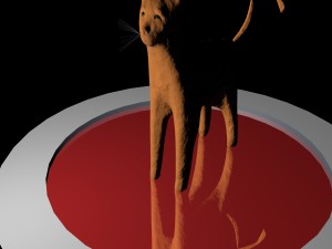 cat feline cat 3D Model