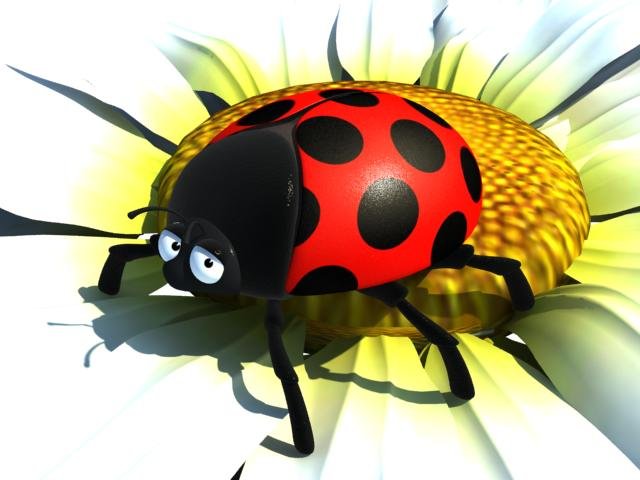 ladybug anim 3D Model .c4d .max .obj .3ds .fbx .stl .blend 