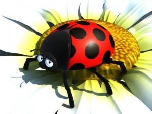 ladybug anim 3D Model