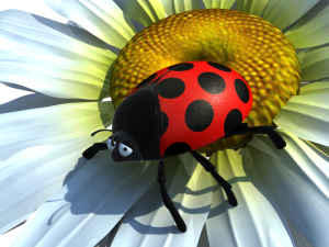 ladybug anim 3D Model
