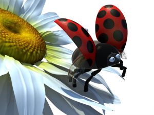 ladybug anim 3D Model