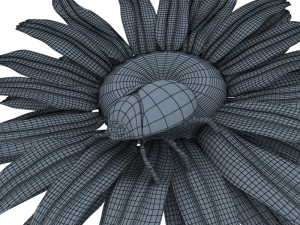 ladybug anim 3D Model
