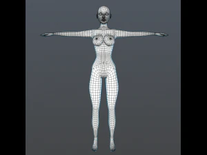 female character basic 3D Model