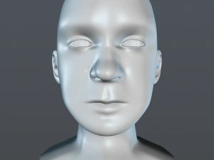 male head 3D Model