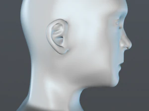 male head 3D Model