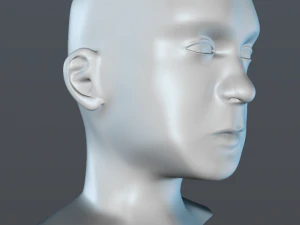 male head 3D Model