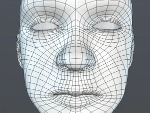 male head 3D Model