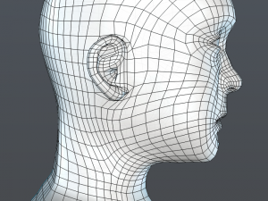 male head Modèle 3D
