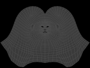 male head 3D Model