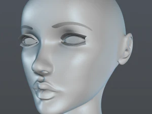weiblicher Kopf 3D Modell