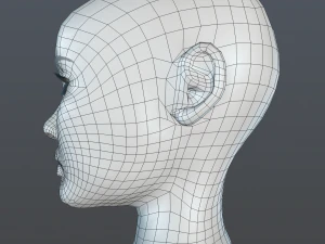 female head 3D Model