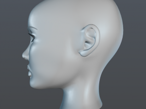female head 3D Model