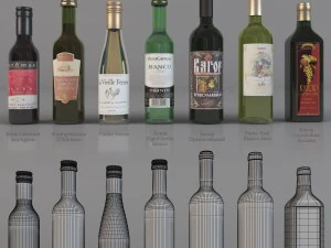 bottle with wine 3D Model