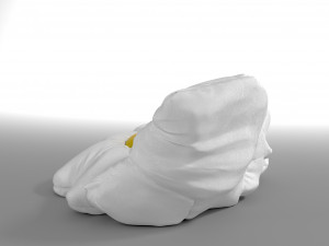 chamomile bean bag Model 3D