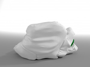 chamomile bean bag Model 3D