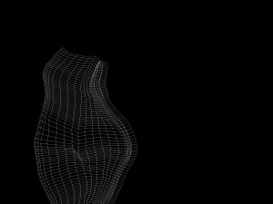 chamomile bean bag Model 3D