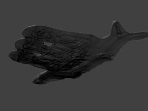 amulet 3Dモデル
