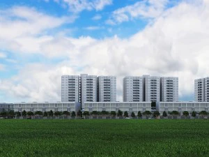 building 3D Model