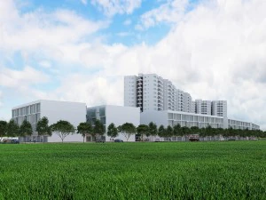 building 3D Model