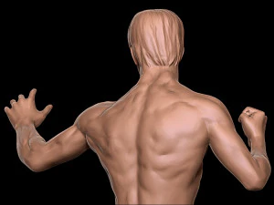 Bruce Lee 3D Print Model 3D Print Model