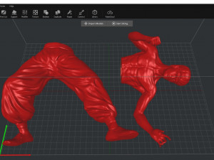 Bruce Lee 3D Print Model Modèles 3D en vedette