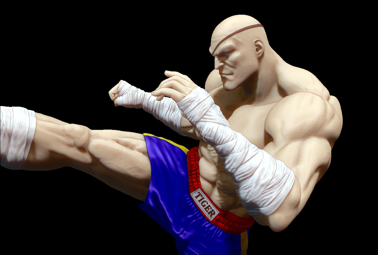 Sagat 3D Print Model .c4d .max .obj .3ds .fbx .stl .blend 