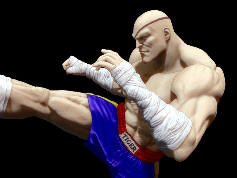 Sagat 3Dプリントモデル
