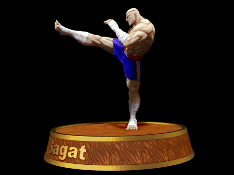 Sagat 3D Print Model