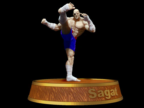 Sagat 3D Print Model