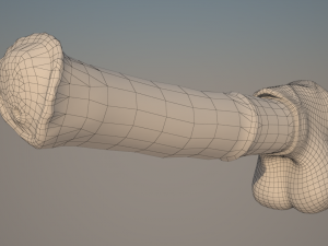 horse penis remaster Modelo 3D