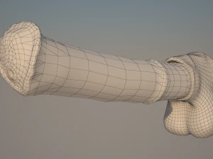 horse penis remaster 3D Model