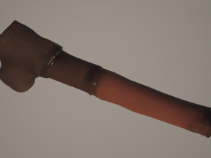 horse penis remaster Modelo 3D