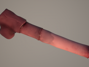 horse penis remaster Modelo 3D