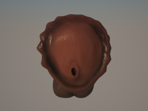 horse penis remaster Modelo 3D