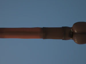 horse penis remaster 3D Model