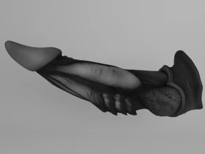 dragon penis darkness 3D Model