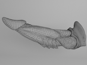 dragon penis darkness Modelo 3D