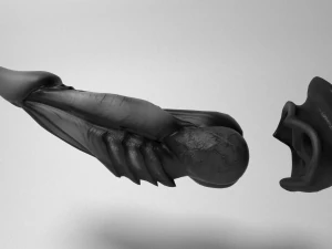 dragon penis darkness 3D Model
