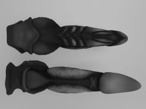 dragon penis darkness 3D Model