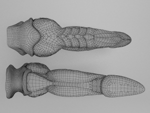 dragon penis darkness Modelo 3D