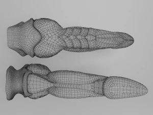 dragon penis darkness 3D Model