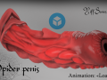 spider penis Modelo 3D