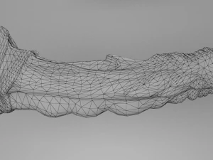 p&ecirc;nis de aranha Modelo 3D