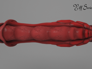 spider penis 3D Model