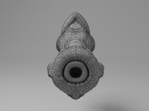 spider penis 3D Model