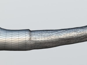 horse penis destructor 3Dモデル