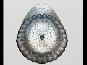 horse penis destructor 3D Model