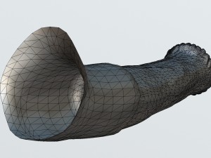 horse penis destructor 3Dモデル
