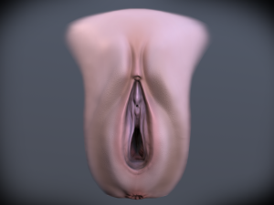female vagina 3D Model